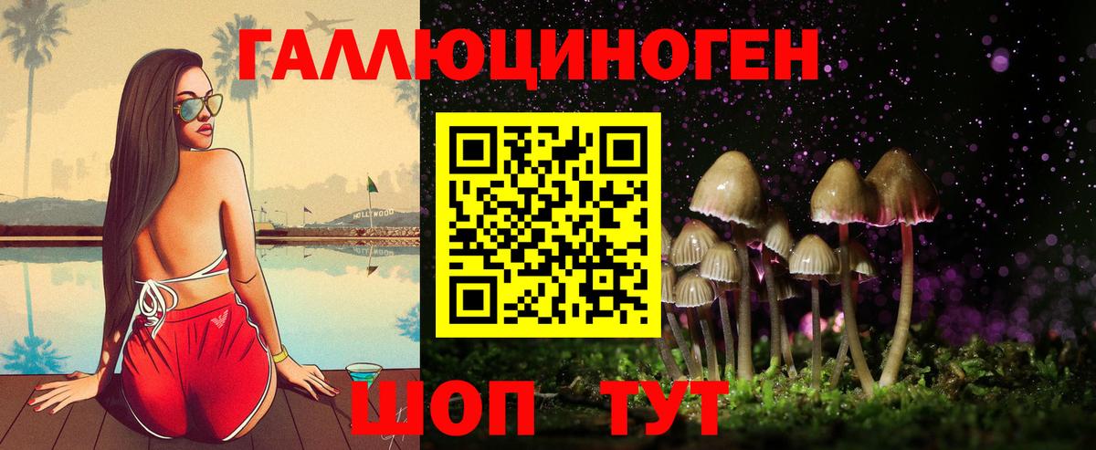 Энгельс  Галлюциногенные грибы мухоморы  Вход с VPN  Псилоцибиновые грибы ЛСД 